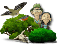 SnapShot Adventures - Secret of Bird Island