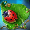 Dreamwoods 2: Puzzle Adventure!
