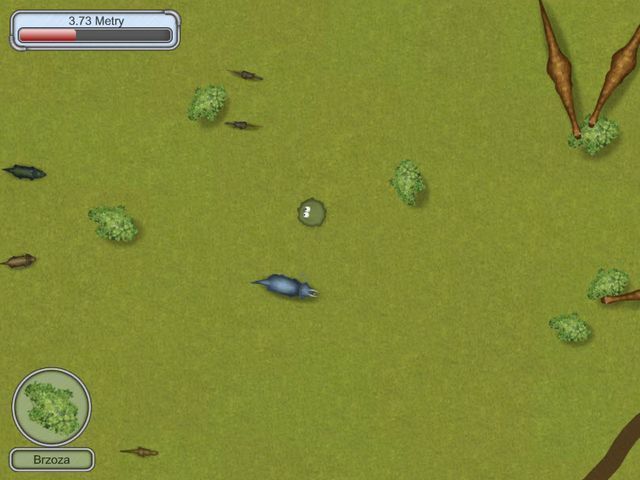 Smaczna planeta: Powrót na chwilę