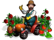 Game details Super Farmer